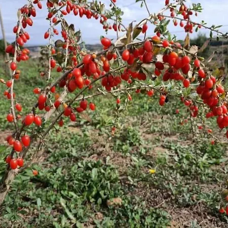 Сasa de vacaciones Quinta Da Estima *