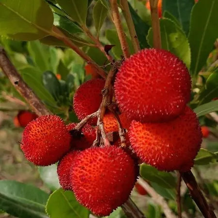 Quinta Da Estima Dous Portos