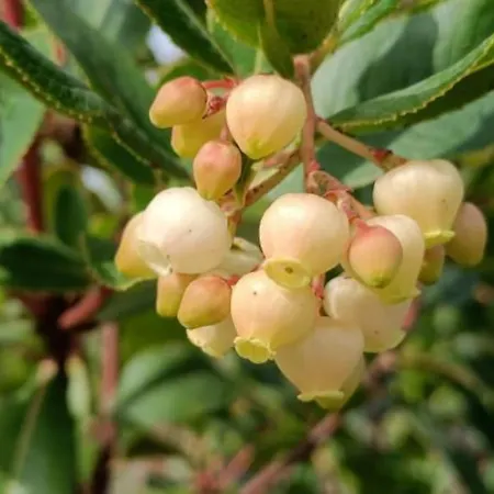 Quinta Da Estima Hébergement de vacances