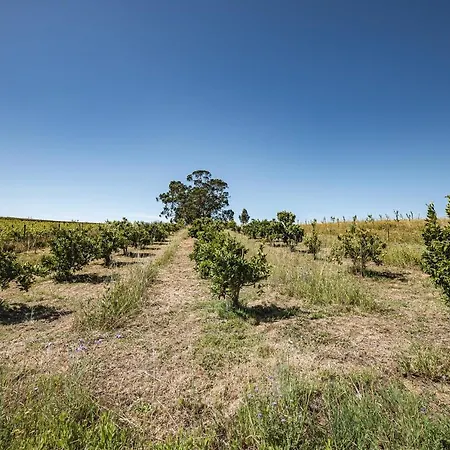 Hébergement de vacances Quinta Da Estima Dous Portos
