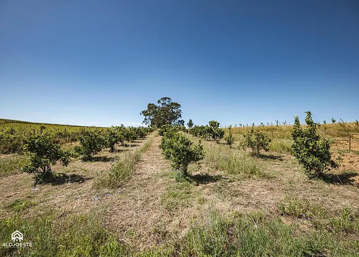 Ferienhaus Quinta Da Estima Dous Portos
